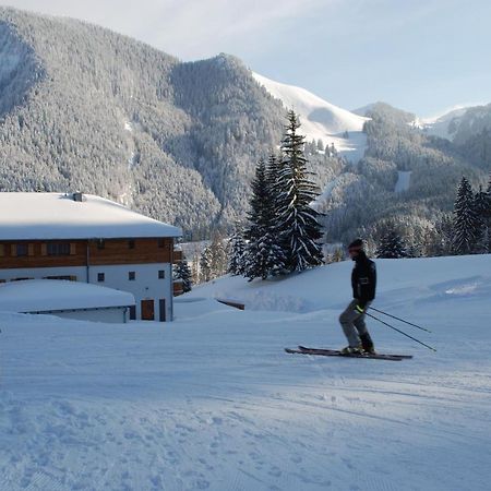 Blsv Sportcamp Direkt Am Kurvenlift Hostel Schliersee Kültér fotó