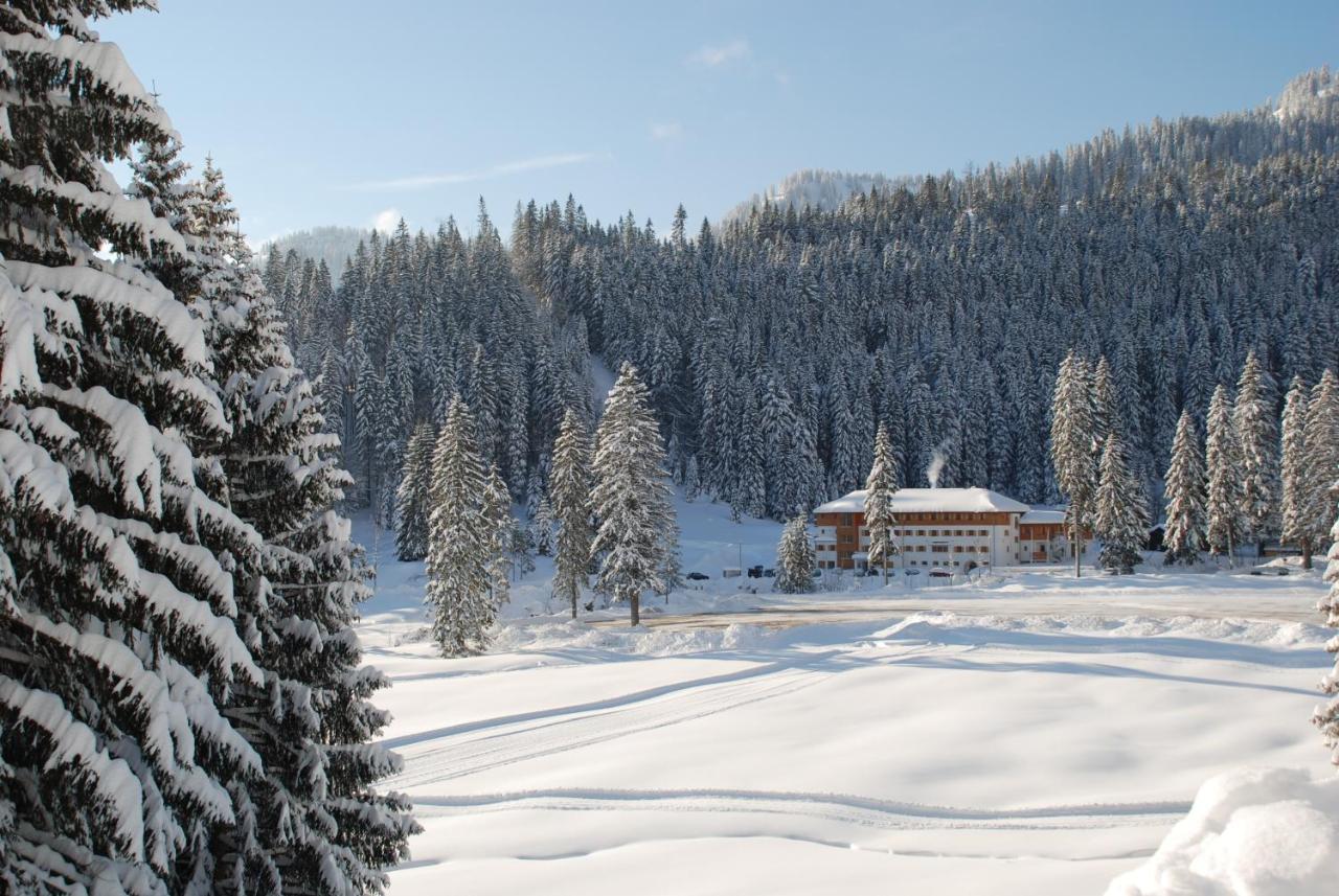 Blsv Sportcamp Direkt Am Kurvenlift Hostel Schliersee Kültér fotó