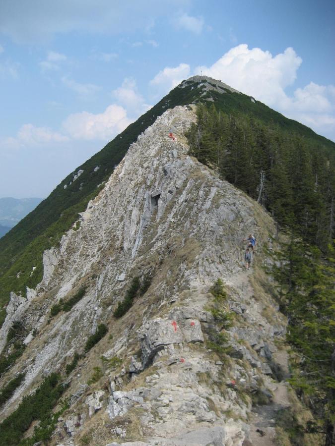 Blsv Sportcamp Direkt Am Kurvenlift Hostel Schliersee Kültér fotó