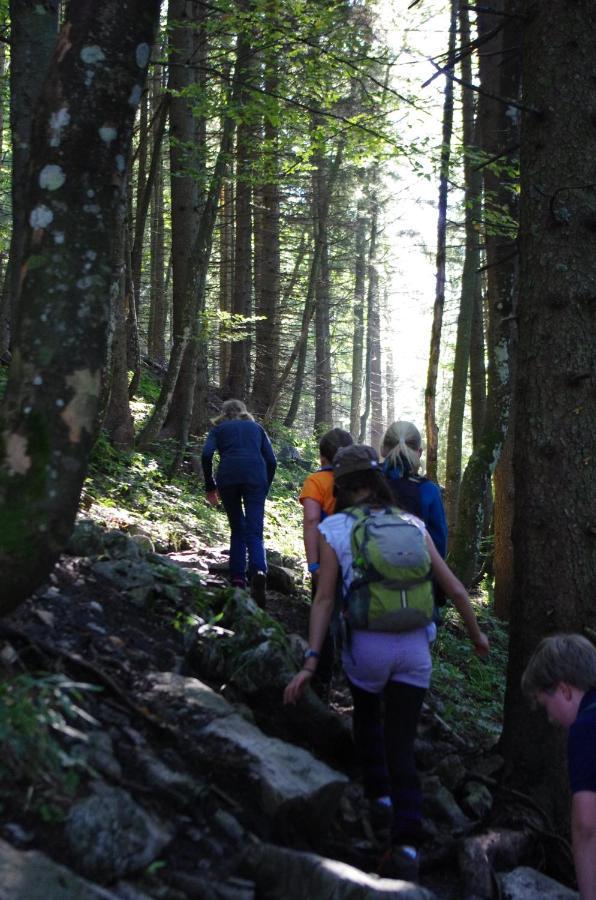 Blsv Sportcamp Direkt Am Kurvenlift Hostel Schliersee Kültér fotó